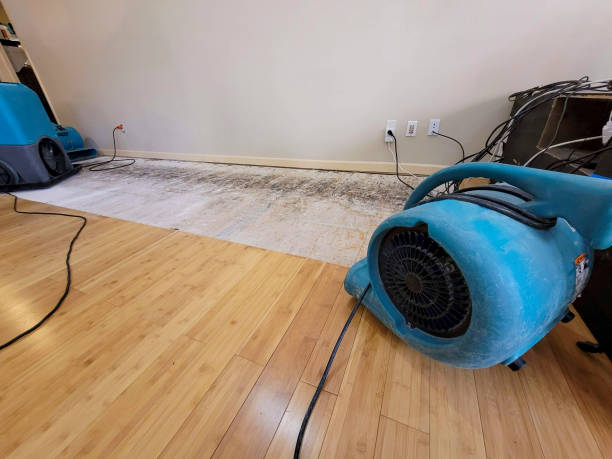 Professional Structural Drying technician working in Vincent, OH